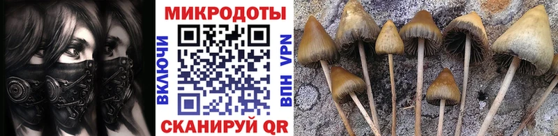 Галлюциногенные грибы прущие грибы  Островной 